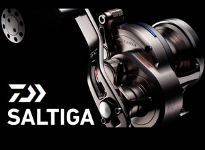 SALTIGA BJ