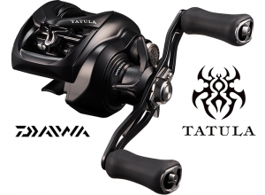 2025 TATULA TW 200