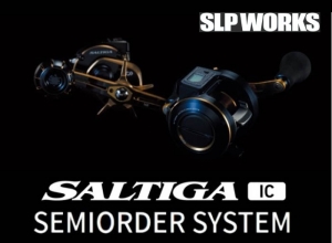 SALTIGA IC SEMIORDER
