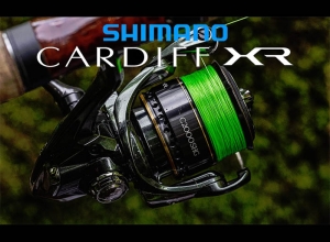 2023 Cardiff XR