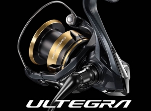 2025 ULTEGRA
