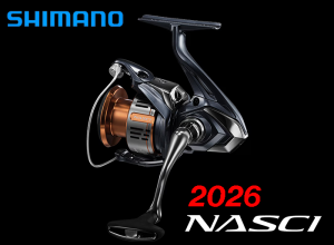 2026 NASCI