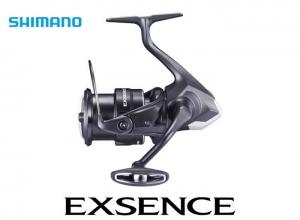 2021 EXSENCE