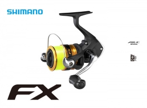 2020 FX
