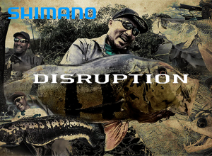 2025 DISRUPTION