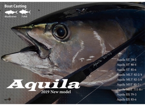 Aquila