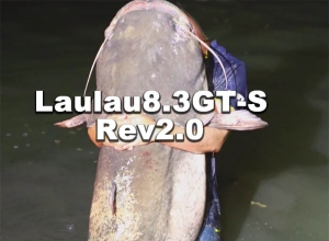 Laulau8.3GT-S Rev2.0