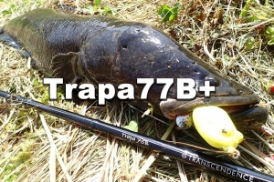 Trapa77B+