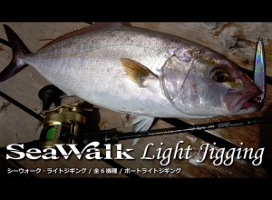 Sea Walk Light Jigging