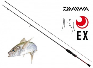 2022 GEKKABIJIN EX