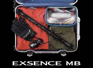 2020 EXSENCE MB