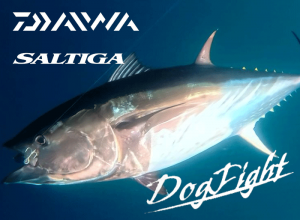 SALTIGA C DOGFIGHT