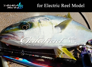 Galahad Electric Reel Jigging