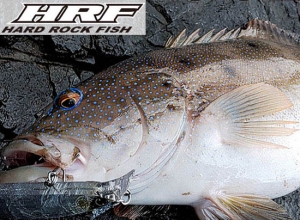 DAIWA HRF