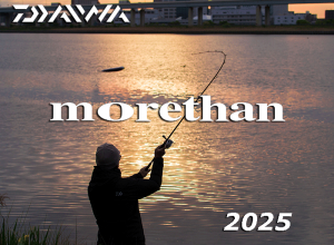 2025 morethan