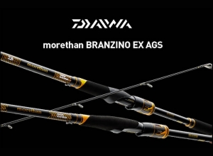 24 morethan BRANZINO EX AGS