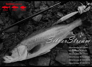 Silver Stream