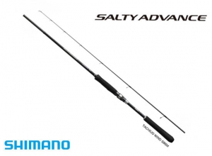 2019 SALTY ADVANCE TACHIUO WIND