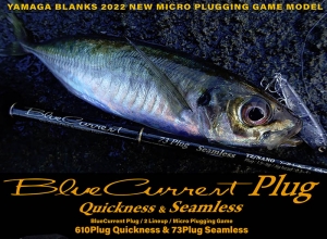 BlueCurrent Plug