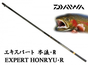 2019 XPERT HONRYU R