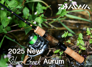 2025 SILVER CREEK AURUM