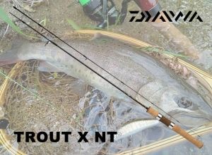 2024 TROUT X NT