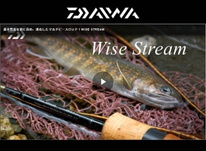 WISE STREAM