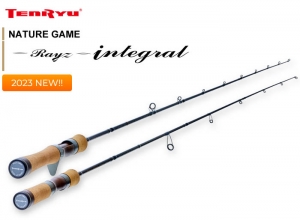 2023 Rayz integral