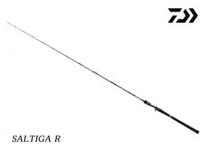 Garage Sale 50%OFF DAIWA 2021 SALTIGA R J62B-3 LO (Baitcasting model)(Shipping is required)
