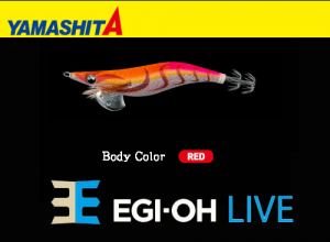 YAMASHITA EGI-OH Live #3.5 Squid Jig #004