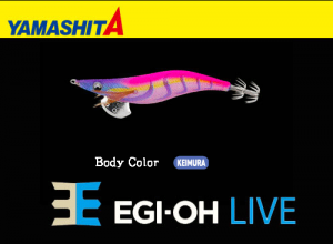 YAMASHITA EGI-OH Live #3.5 Squid Jig #005