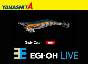 YAMASHITA EGI-OH Live #3.5 Squid Jig #006