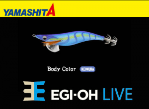 YAMASHITA EGI-OH Live #3.5 Squid Jig #007