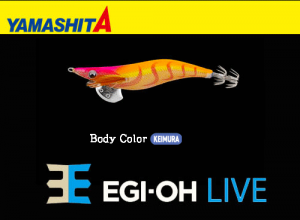 YAMASHITA EGI-OH Live #3.5 Squid Jig #025