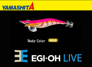 YAMASHITA EGI-OH Live #3.5 Squid Jig #027