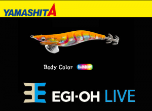 YAMASHITA EGI-OH Live #3.5 Squid Jig #028