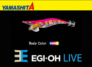 YAMASHITA EGI-OH Live #3.5 Squid Jig #029