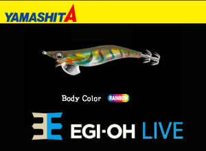 YAMASHITA EGI-OH Live #3.5 Squid Jig #030