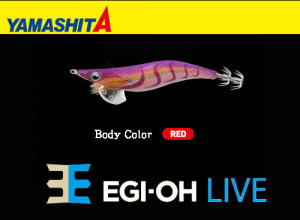 YAMASHITA EGI-OH Live #3.5 Squid Jig #033