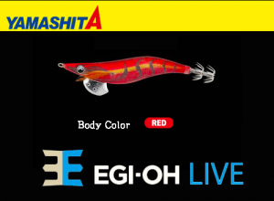YAMASHITA EGI-OH Live #2.5 Squid Jig #034