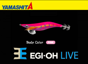 YAMASHITA EGI-OH Live #3.5 Squid Jig #035