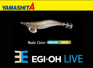YAMASHITA EGI-OH Live #3.5 Squid Jig #036