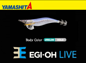 YAMASHITA EGI-OH Live #3.5 Squid Jig #037