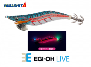 YAMASHITA EGI-OH Live #3.5 Squid Jig #063