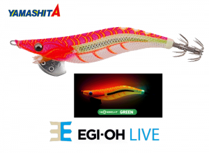 YAMASHITA EGI-OH Live #3.5 Squid Jig #064