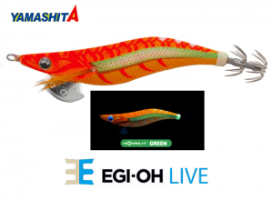 YAMASHITA EGI-OH Live #3.5 Squid Jig #069