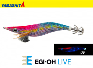 2025 YAMASHITA EGI-OH Live #3.0 Squid Jig #051