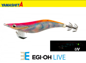 2025 YAMASHITA EGI-OH Live #3.0 Squid Jig #052