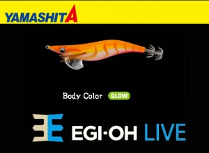 YAMASHITA EGI-OH Live #3.5 Squid Jig #039