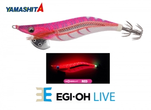 YAMASHITA EGI-OH Live #3.5 Squid Jig #062